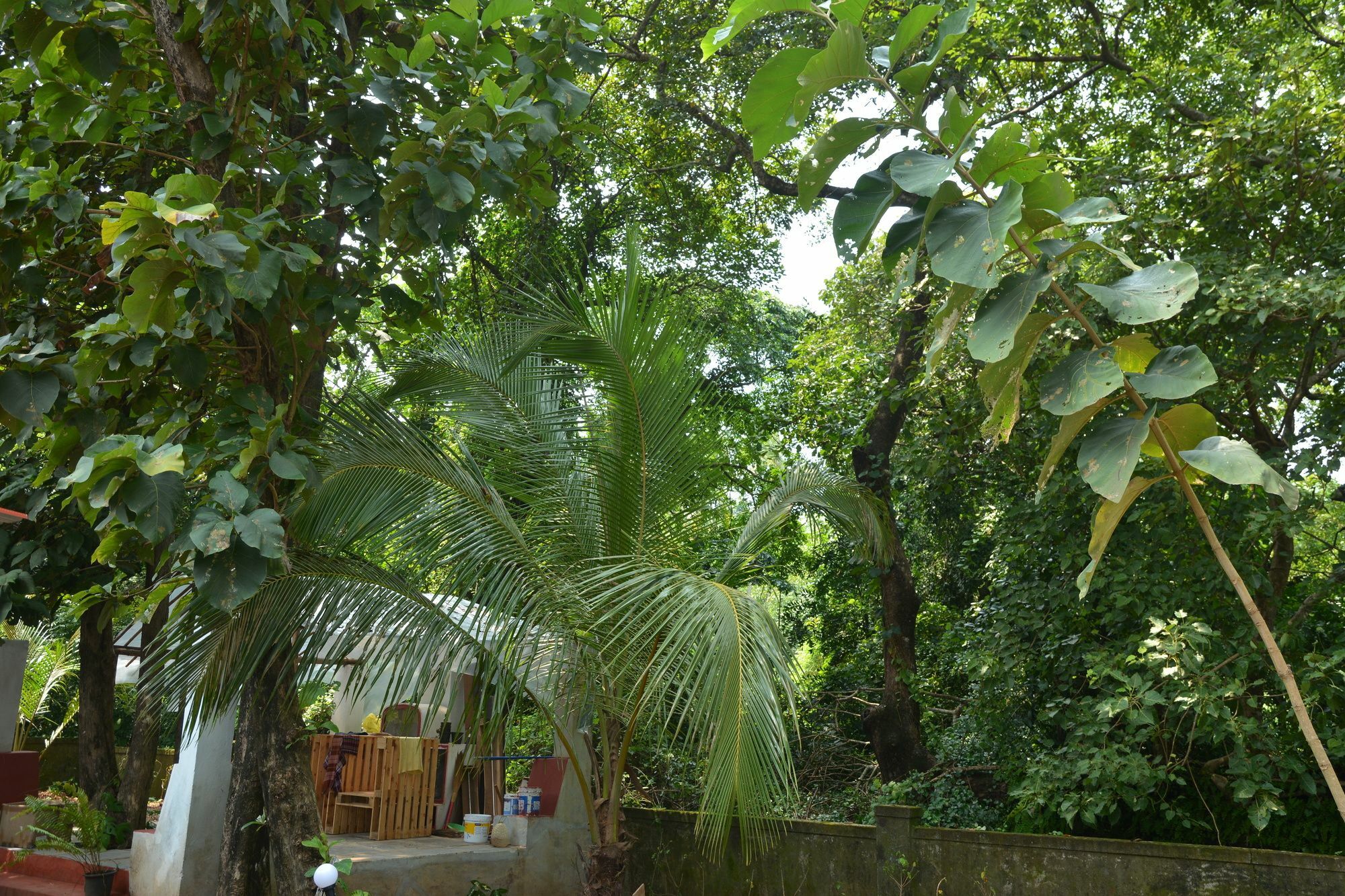 Folklore Hostel Goa Вагатор Екстериор снимка